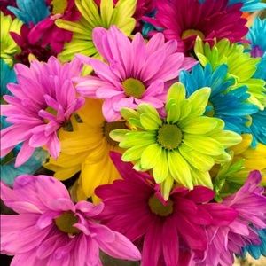 Meet your Posher, Stacy